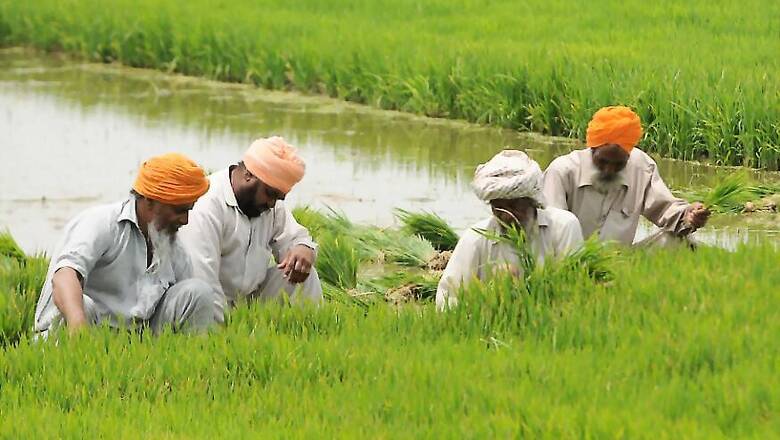 Despite Tensions, Punjab Border Farmers to be Allowed to Harvest Crop