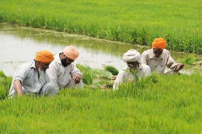 Despite Tensions, Punjab Border Farmers to be Allowed to Harvest Crop