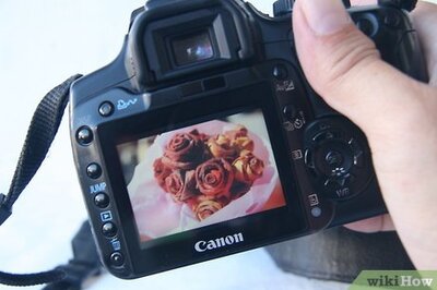 How to Use Your Digital Camera's ISO Setting
