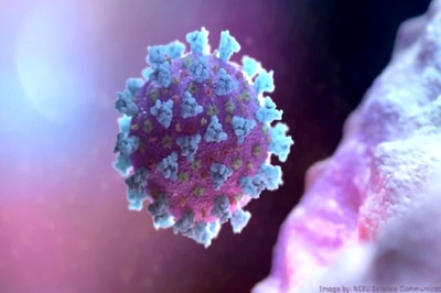 AstraZeneca Antibody Cocktail Fails to Prevent Covid-19 Symptoms in Large Trial