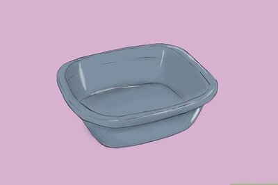 How to Get Rid of Chicken Mites