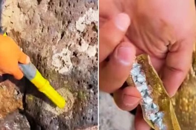 Watch: Man Gets Treasure With His Metal Detector But There's A Catch
