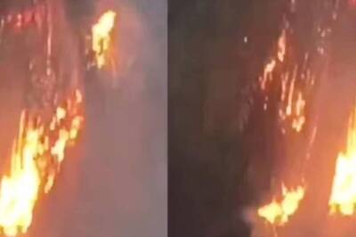 Lightning Strike In Madhya Pradesh Village Reduces 20-foot Tree To Ashes