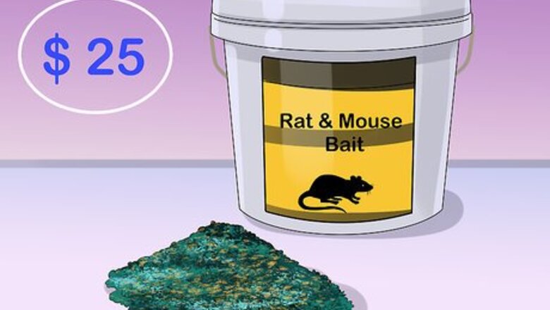 How to Deal with Rats