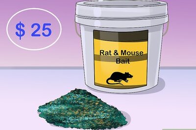 How to Deal with Rats