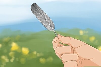 20+ Spiritual Meanings of Grey Feathers