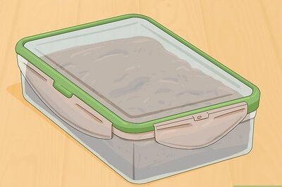 How to Store Wet Cat Food