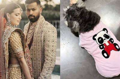 Natasa Stankovic CONFIRMS All's Good With Hardik Pandya? Actress Drops Pooch's Pic With Surname; See Here