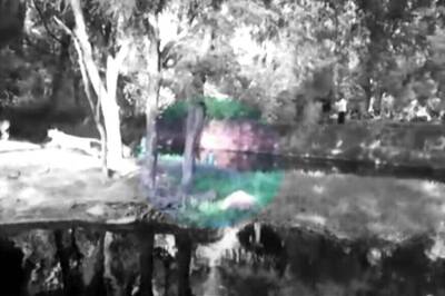 Man Jumps Into Zoo Enclosure 'To Shake Hands With Lion'