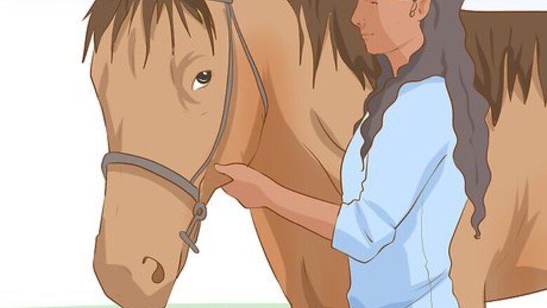 How to Do Basic Dressage Successfully