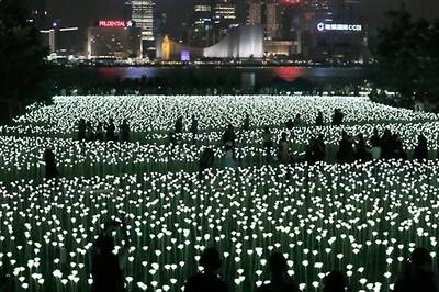 Hong Kong garden lights up with 25,000 LED roses to host Valentine's Day