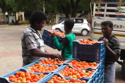 Tomato Price In Tamil Nadu Spoils The Taste