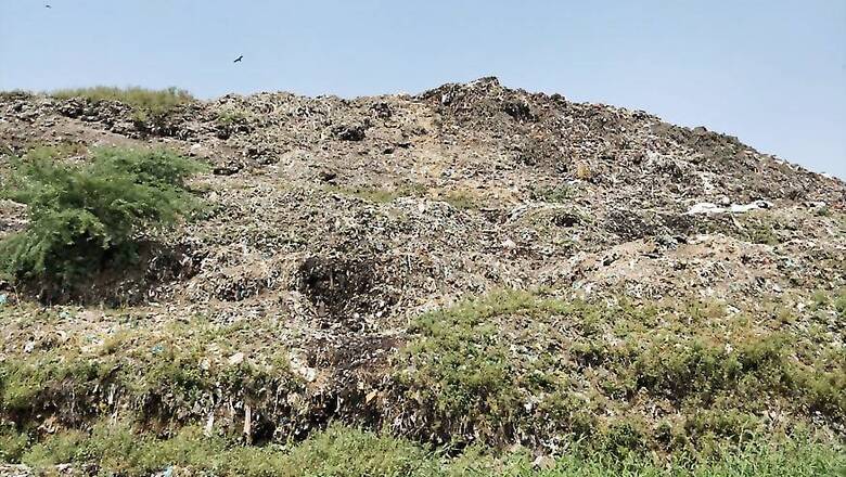 Ghazipur: NGT Seeks Report on 'Segregation, Disposal' of Waste