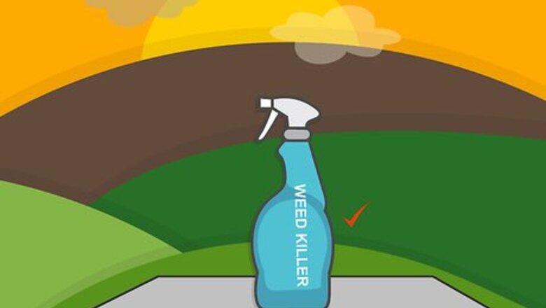 How to Remove Weeds from a Lawn
