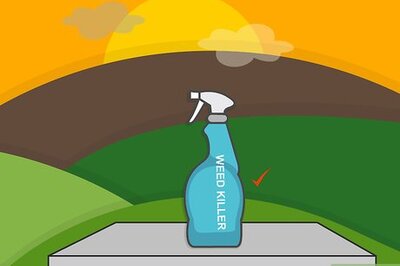 How to Remove Weeds from a Lawn