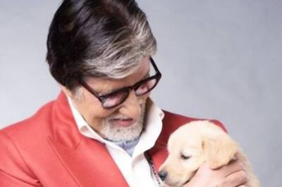 Amitabh Bachchan Mourns Death of His Dog, Pens Emotional Note Saying, 'They Grow Up and...'
