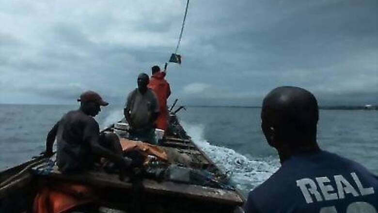 Overfishing in Congo threatens endangered sharks, report warns