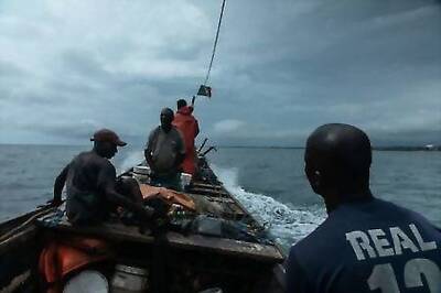 Overfishing in Congo threatens endangered sharks, report warns