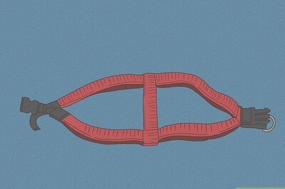 How to Put Your Dog in a Harness