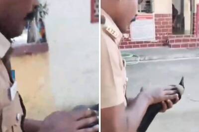 Fire Officer's Timely CPR Saves Life Of Electrocuted Crow