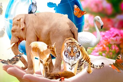 Delhi LG Visits Yamuna Biodiversity Park, Interacts with DU Students on World Environment Day