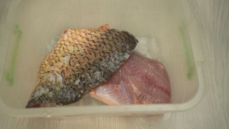 How to Store Fish Without a Fridge