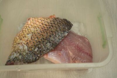 How to Store Fish Without a Fridge