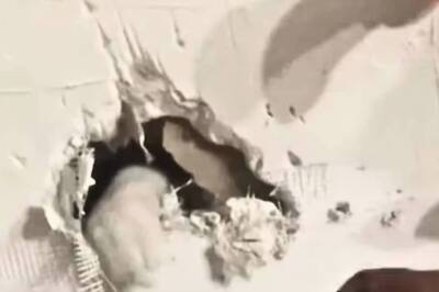 US Woman Heard Strange Noises From Newly Plastered Walls, Here’s What Happened Next