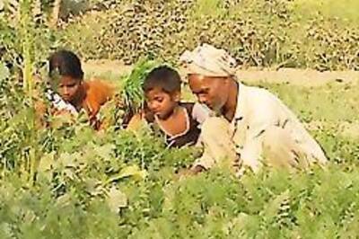 Farmers to vote on Mumbai special economic zone