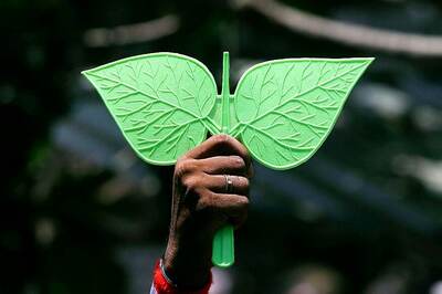 In an Uncanny Reprisal of History, Two Leaves symbol Has Been Frozen Again