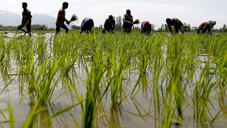 Govt Likely to Announce Package for Farmers, Says MoS Agriculture