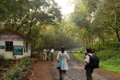 Move Over Beaches, These 5 Wildlife Sanctuaries In Goa Are A Must-see