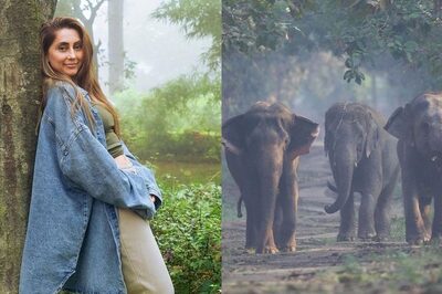 Anusha Dandekar Lauds Anant Ambani For Vantara Initiative, Shares Story of Rescued Elephant 'Tarzan'
