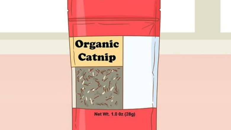 How to Give Your Cat Catnip
