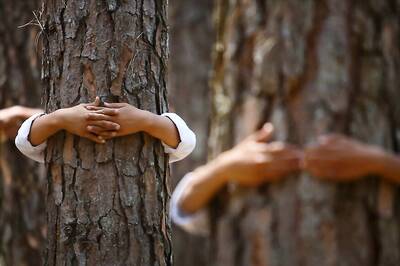 64,000 Trees to Be Displaced for Defence Expo in Lucknow Next Year