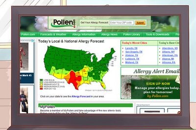 How to Fight Hay Fever