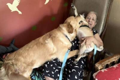 How Pet Dogs Helped Mumbai Family Cope With a Tragedy: 'Taught Us to Be Happy Again'