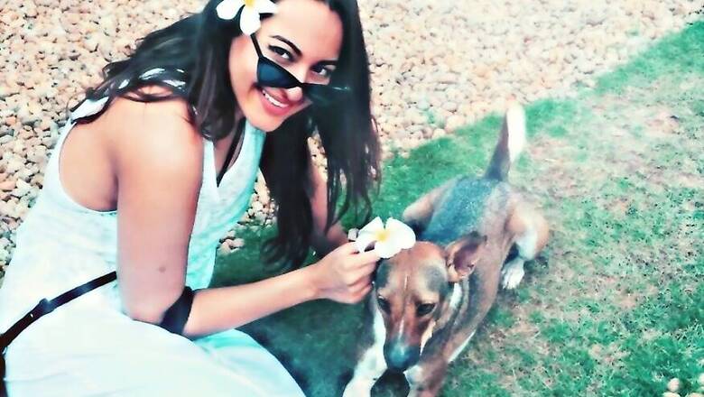 Sonakshi Sinha To People Abandoning Pets Amid Covid-19 Pandemic: 'You Are Idiots'