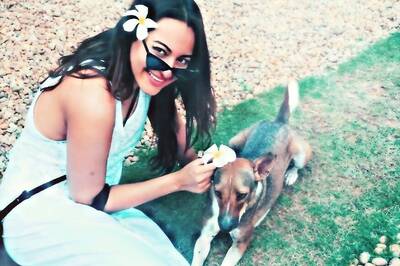 Sonakshi Sinha To People Abandoning Pets Amid Covid-19 Pandemic: 'You Are Idiots'