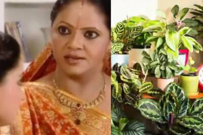 These Viral Videos During the Lockdown Made the Year 2020 More Fun than Ever