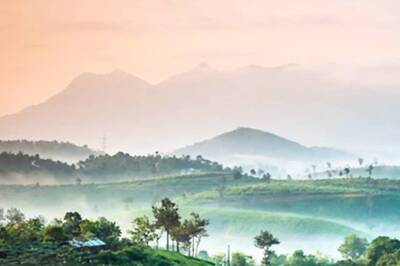 'Tragedy': Anand Mahindra Reacts To Wayanad Landslides, Assures Rescue Efforts
