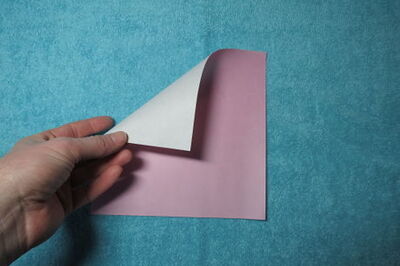 How to Fold an Origami Squirrel