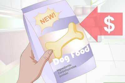 How to Choose Between Dry or Canned Dog Food