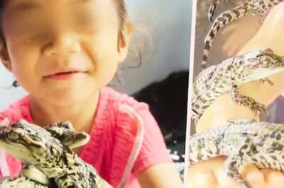 Thai Girl's Crocodile 'Playdate': Mother Says They're Harmless, Netizens Disagree