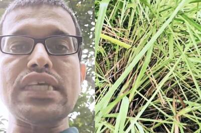 'Sell Grass, Say No To Salary': Travel Blogger's Hilarious Advice To Save Taxes