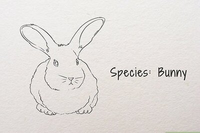 How to Make a Furry Persona (Fursona)