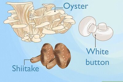 How to Grow Mushrooms Indoors