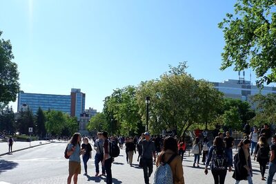 American Dream or Horror? Deaths of Indian Students in US in 2024 Point to Safety Concerns, Vulnerability