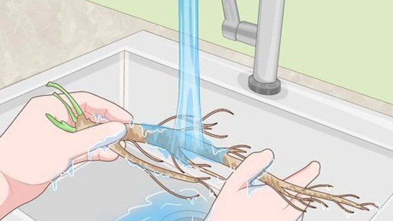 How to Extract Salt from Plants