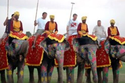 Jumbo row over Jaipur's royal sport